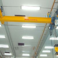 四川綿陽本地廠家供應(yīng)LS手動單梁起重機